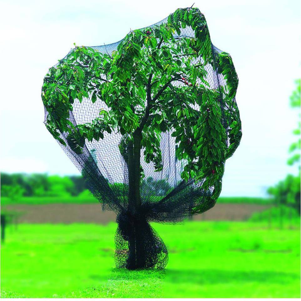 Nortène - Filet de protection PE tricoté vert 5 x 6 m maille 25 x 25 mm - PRONET - Imagen 2