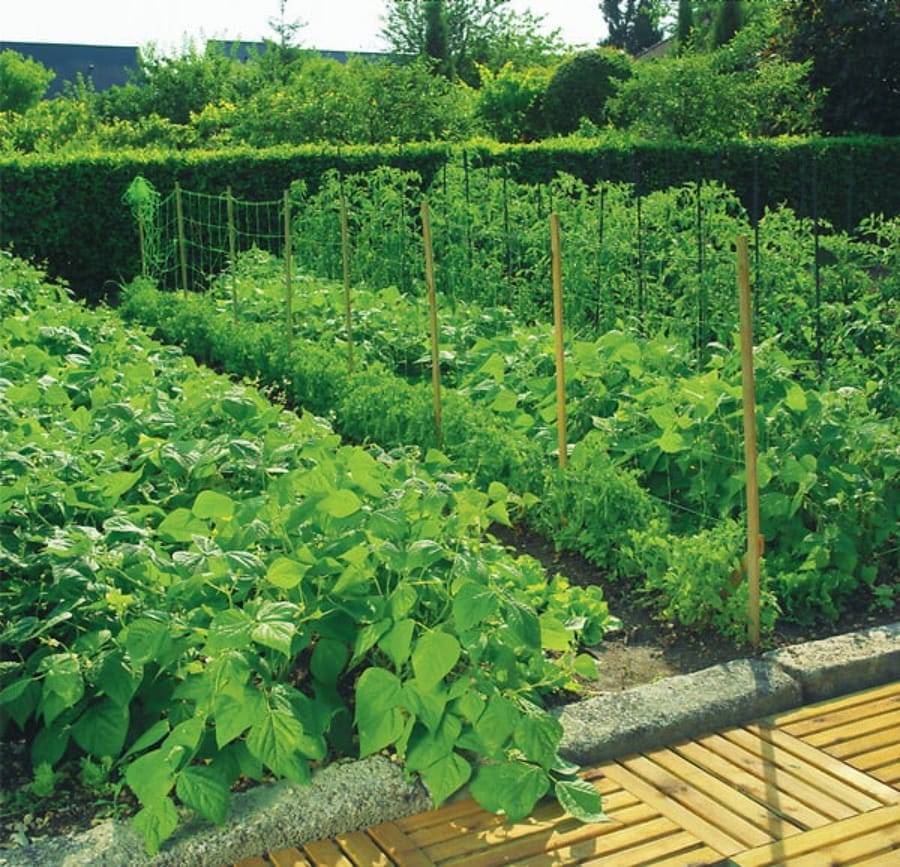 Nortène - Filet à ramer Trellinet vert 1 x 5 m - Image 1