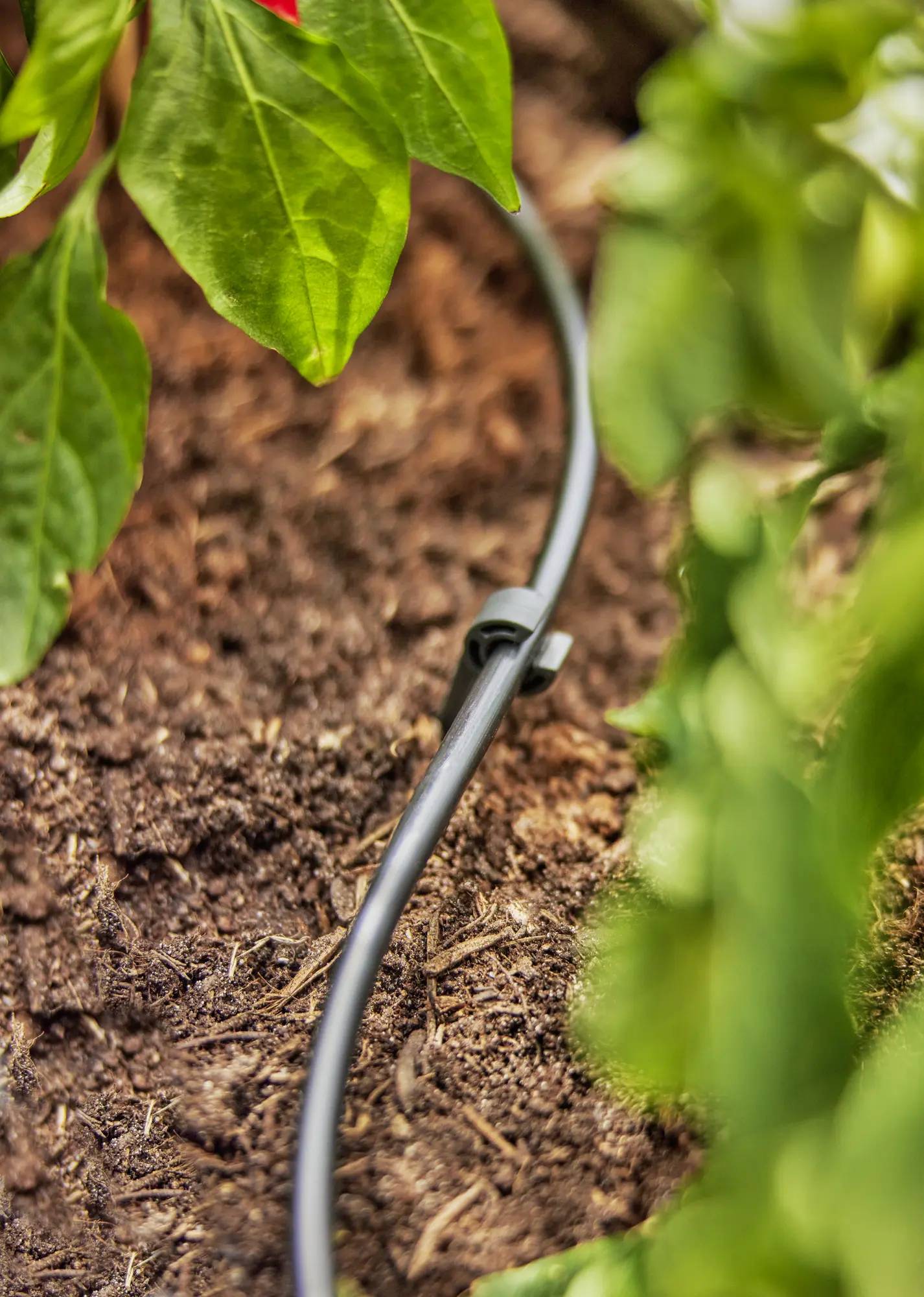 Gardena - Tuyau Micro-Drip polyéthylène Ø 4,6 mm L 15 m – Gardena - Imagen 4