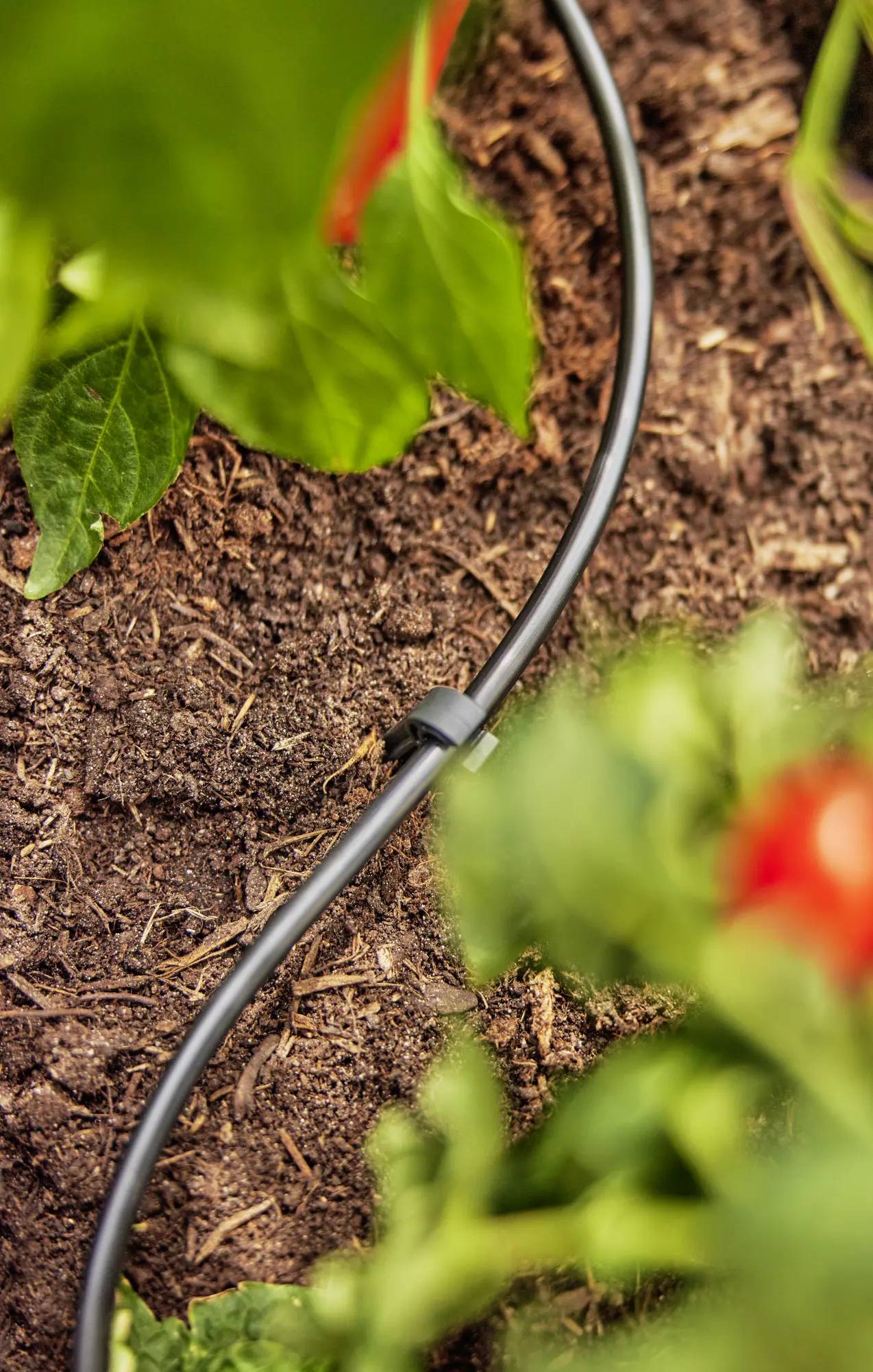Gardena - Tuyau Micro-Drip polyéthylène Ø 4,6 mm L 15 m – Gardena - Imagen 5