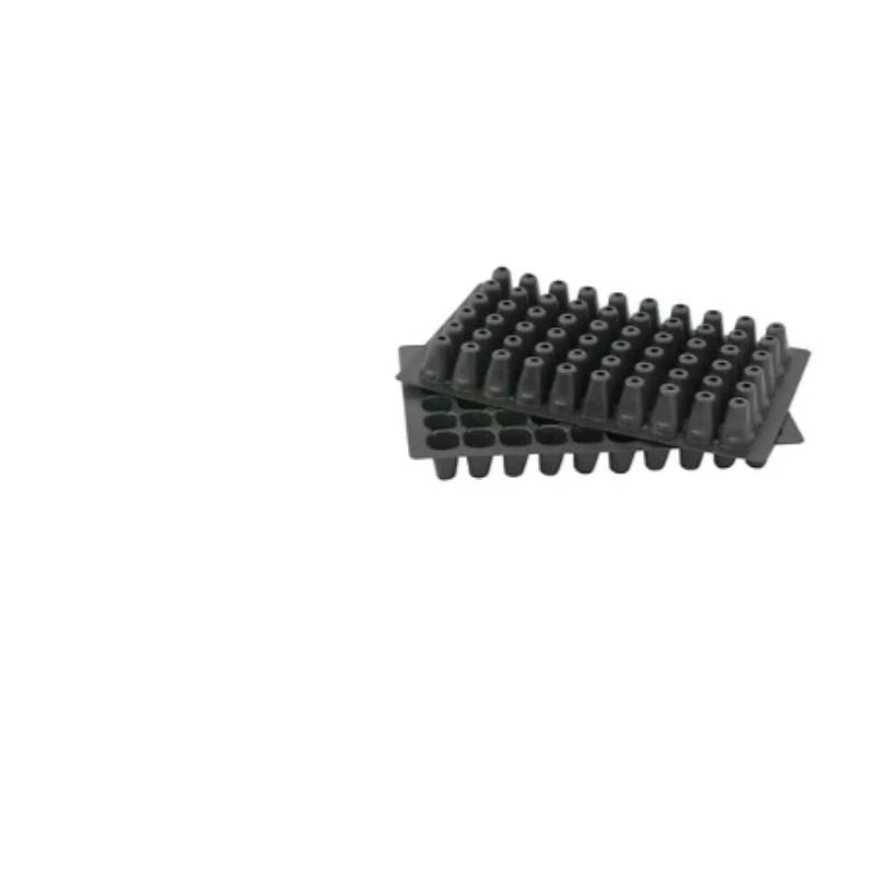 Plaque culture 60 cellules x3 - L.40 x l.15 cm
