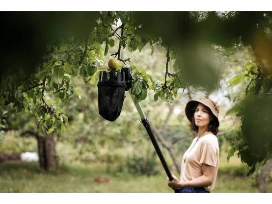 Fiskars - Fiskars - Cueille-fruits UP80 pour coupe-branches multifonctions - Image 3