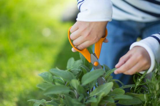 Fiskars - Fiskars - Ciseaux de jardin S90 21 cm, droitiers - Image 4