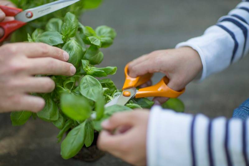 Fiskars - Fiskars - Ciseaux de jardin S90 21 cm, droitiers - Imagen 2