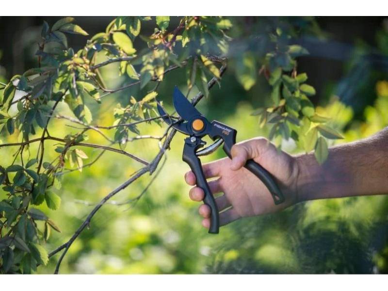 Fiskars - Sécateur traditionnel - FISKARS - Imagen 3