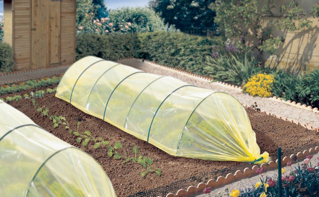 Nortène - Film de forçage maraîcher Climapro L300 x h1000 cm - Imagen 1