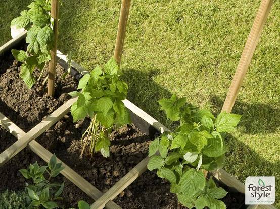 Cerland - Tuteur Bois Fraisé Ø 5 cm H 200 cm – Cerland - Image 3