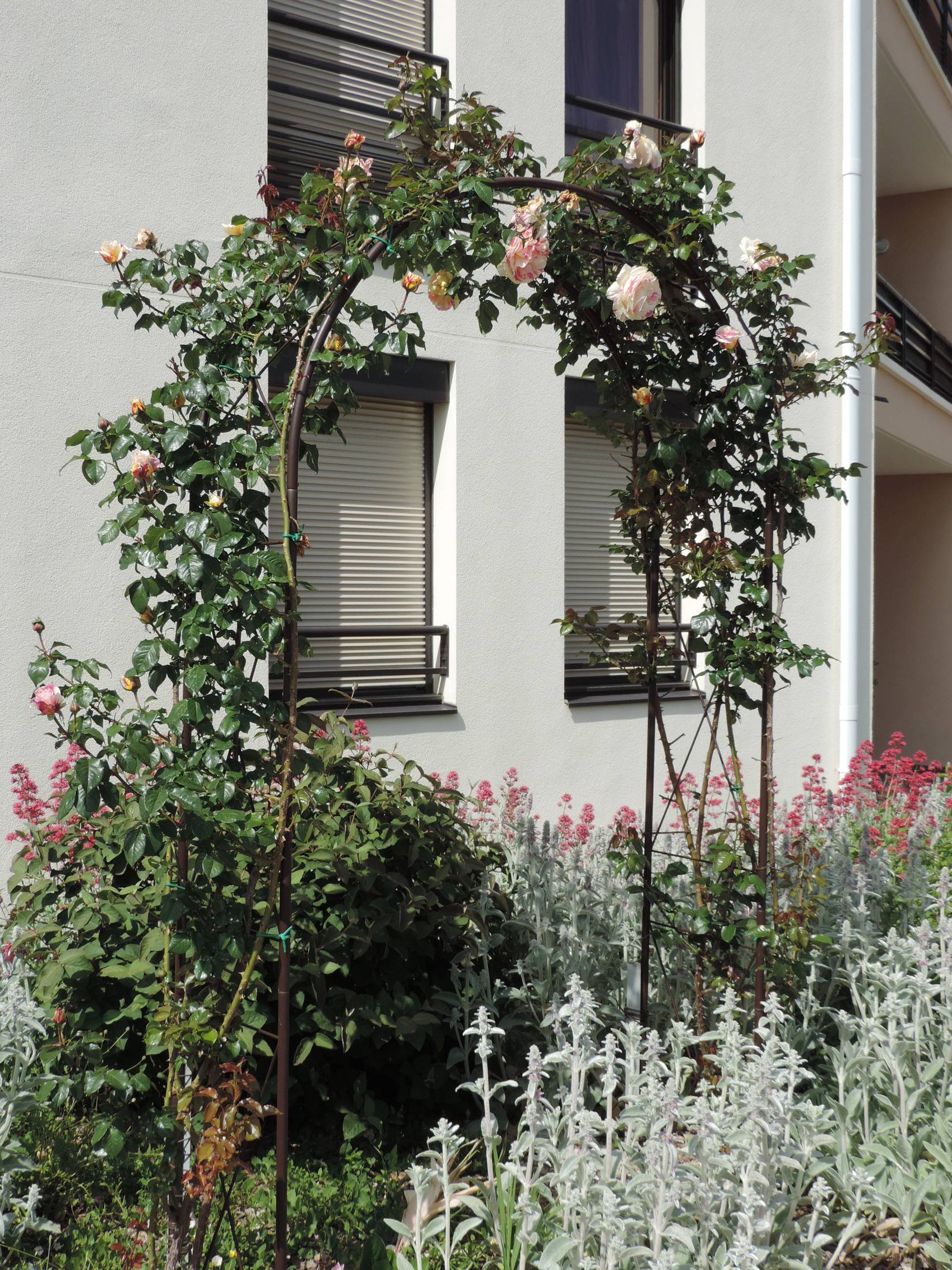 Louis Moulin - Arche Jardin LOUIS MOULIN - Image 3