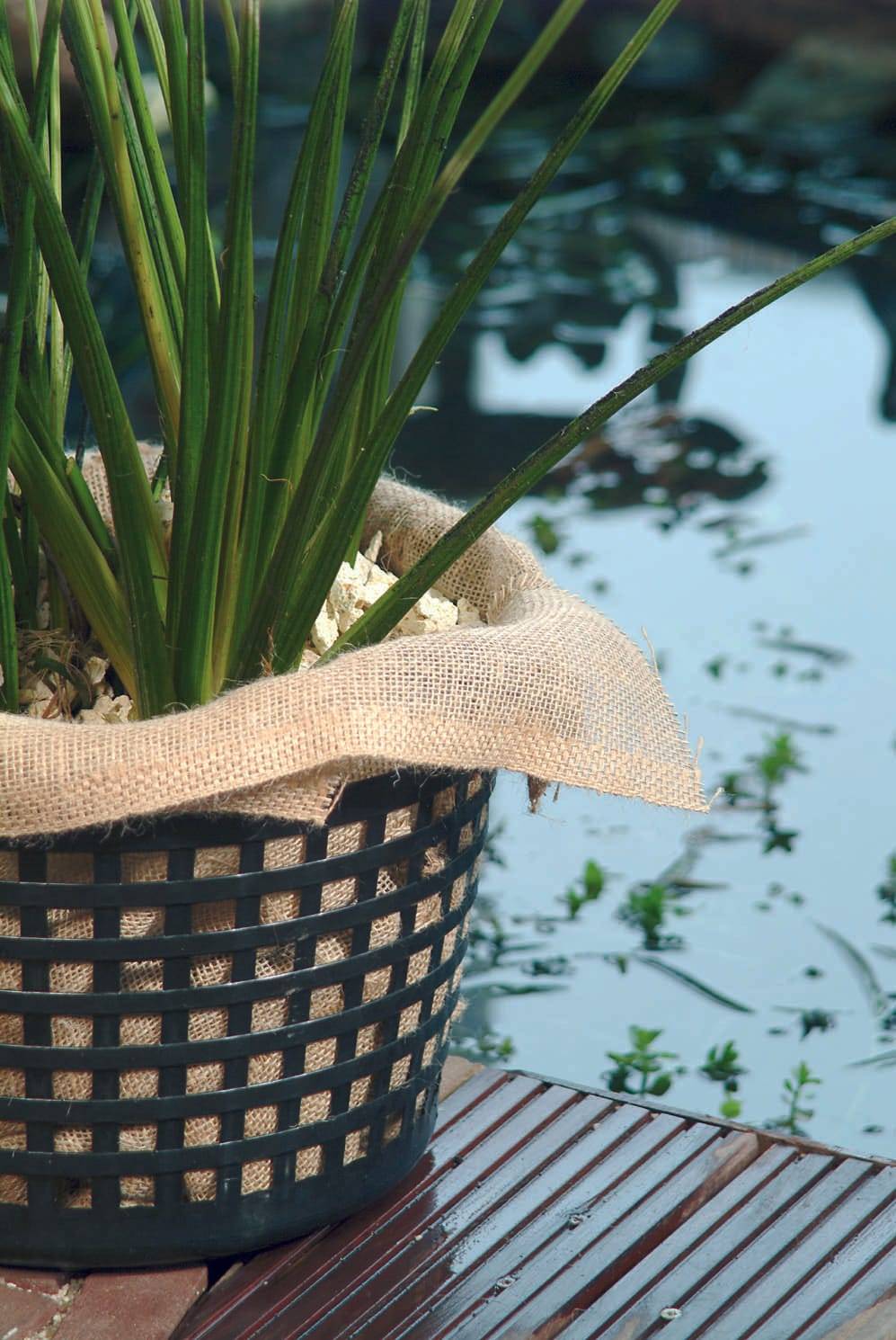 Toiles pour paniers plantes aquatiques biodégradable 60 x 60 cm set de 100 pièces - UBBINK - Imagen 2