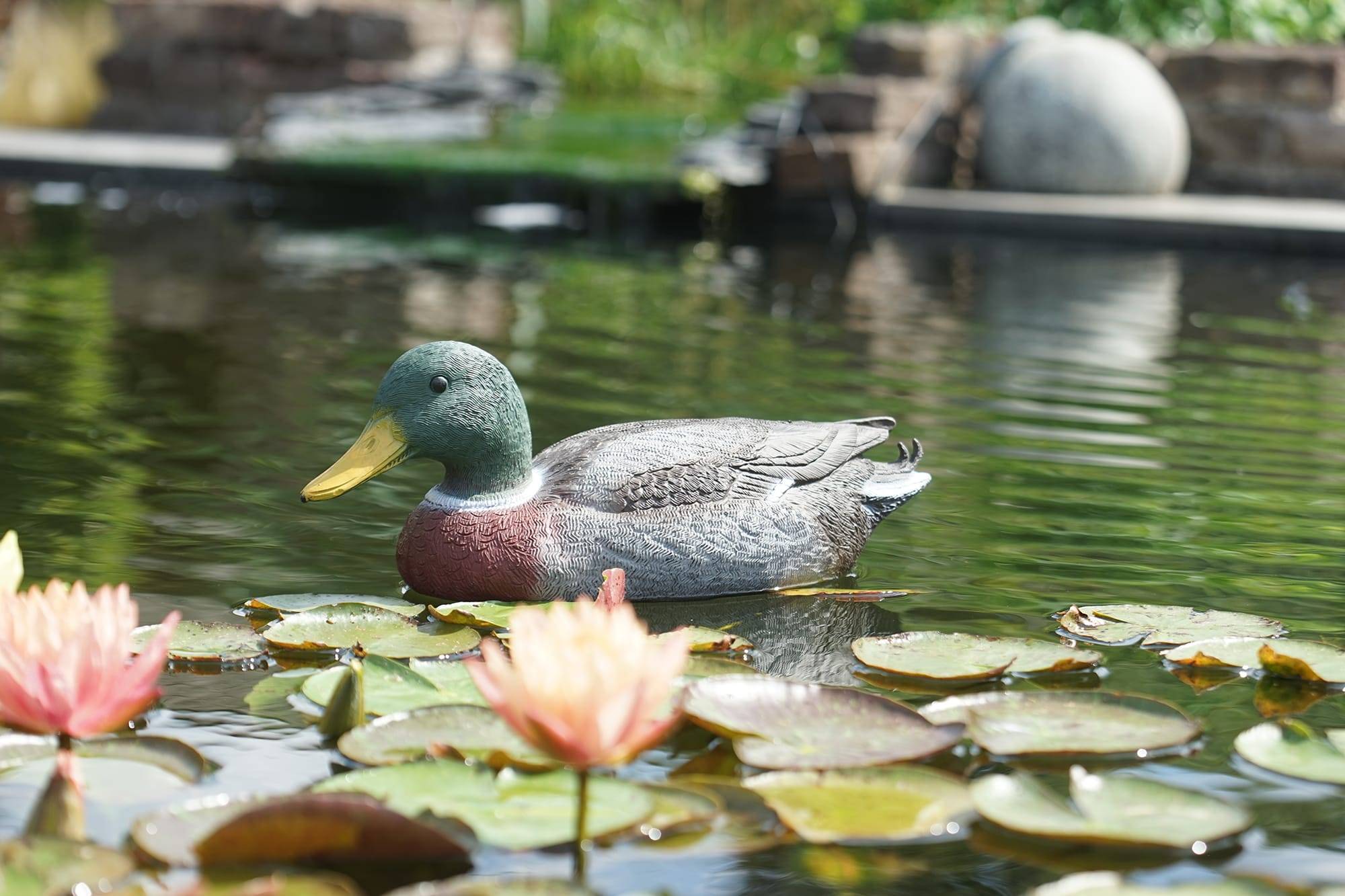 Ubbink - Canard Décoratif Plastique Colvert – UBBINK - Imagen 2