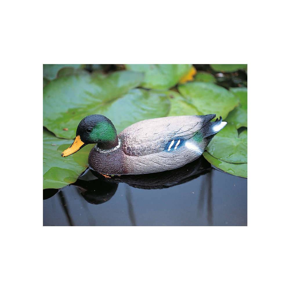 Ubbink - Canard Décoratif Plastique Colvert – UBBINK - Imagen 3