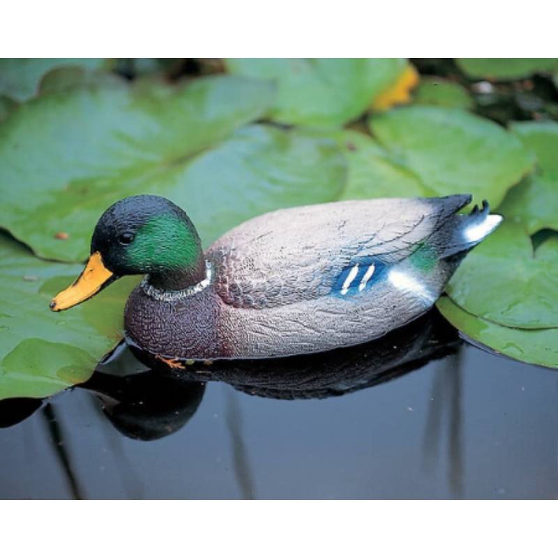 Ubbink - Canard Décoratif Plastique Colvert – UBBINK - Imagen 1