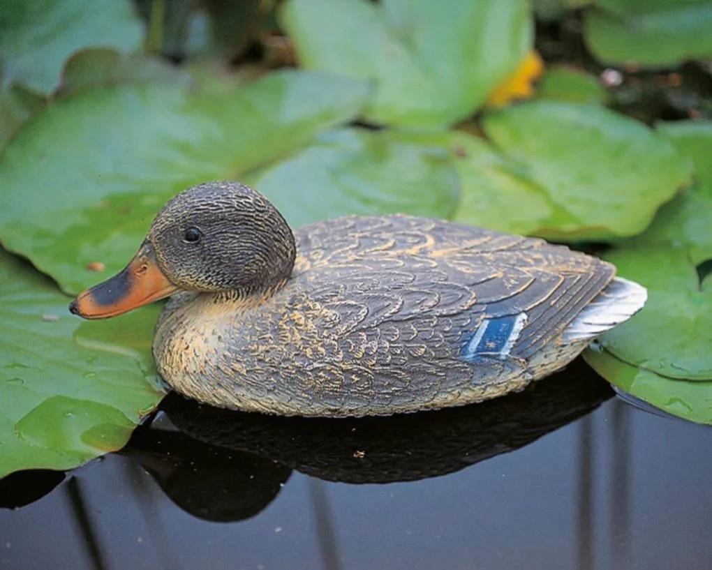 Ubbink - Canard colvert femelle décoratif plastique L 39 cm UBBINK - Imagen 2