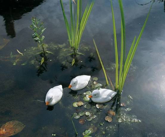 Ubbink - Caneton flottant plastique blanc - UBBINK - Image 3