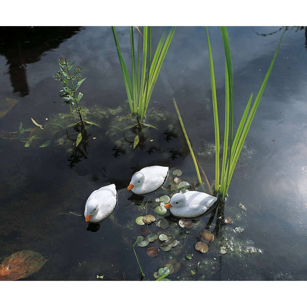 Ubbink - Caneton flottant plastique blanc - UBBINK - Imagen 4