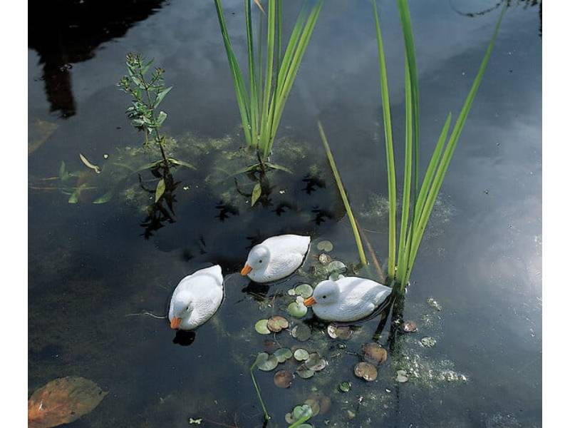 Ubbink - Patito flotante plástico blanco - UBBINK