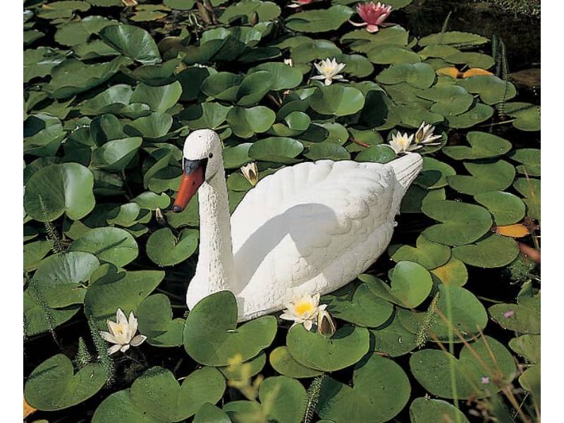 Cygne Décoratif De Bassin - UBBINK - Image 3