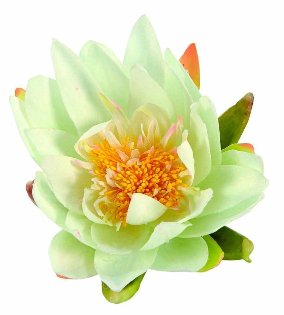 Nenúfar decorativo plástico blanco 14 cm – UBBINK - Imagen 5