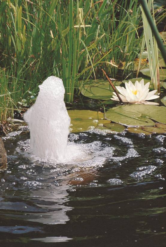 Ubbink - Pompe de bassin Elimax 1500 - UBBINK - Image 5