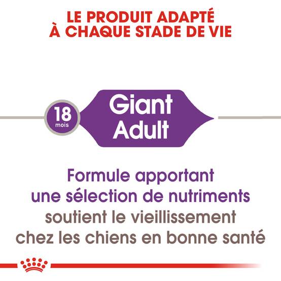 Royal Canin - Croquettes Chien Giant Adult - ROYAL CANIN - Image 4