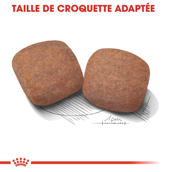 Royal Canin - Croquettes Chien Giant Adult - ROYAL CANIN - Image 6