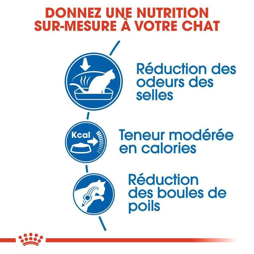 Royal Canin - Croquettes Chat d'intérieur Adultes – ROYAL CANIN - Image 3