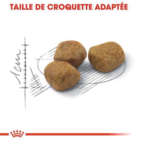 Royal Canin - Croquettes Chat Fit32 - ROYAL CANIN - Image 2