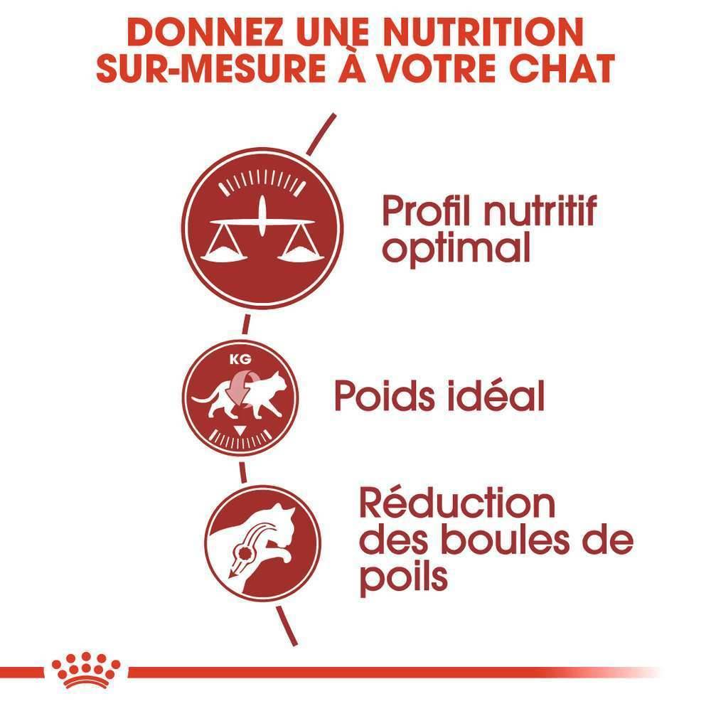 Royal Canin - Croquettes Chat Fit32 - ROYAL CANIN - Image 9