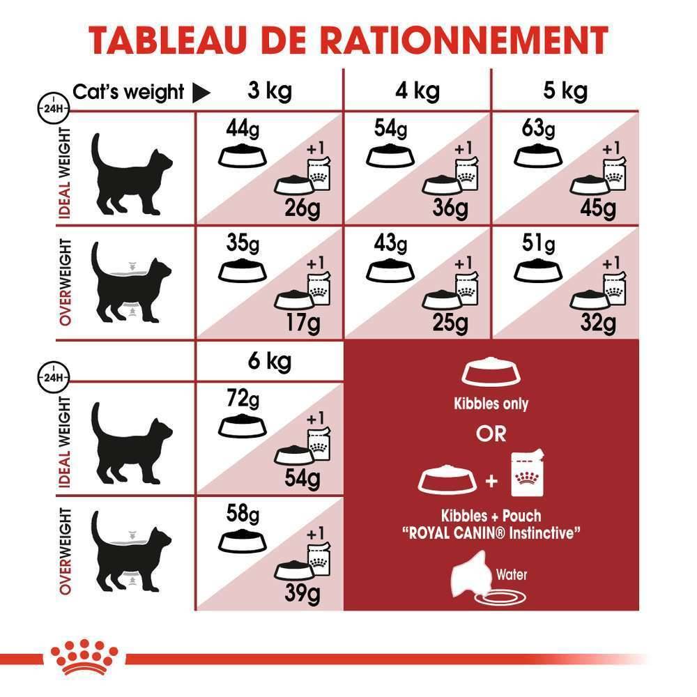 Royal Canin - Croquettes Chat Fit32 - ROYAL CANIN - Image 11