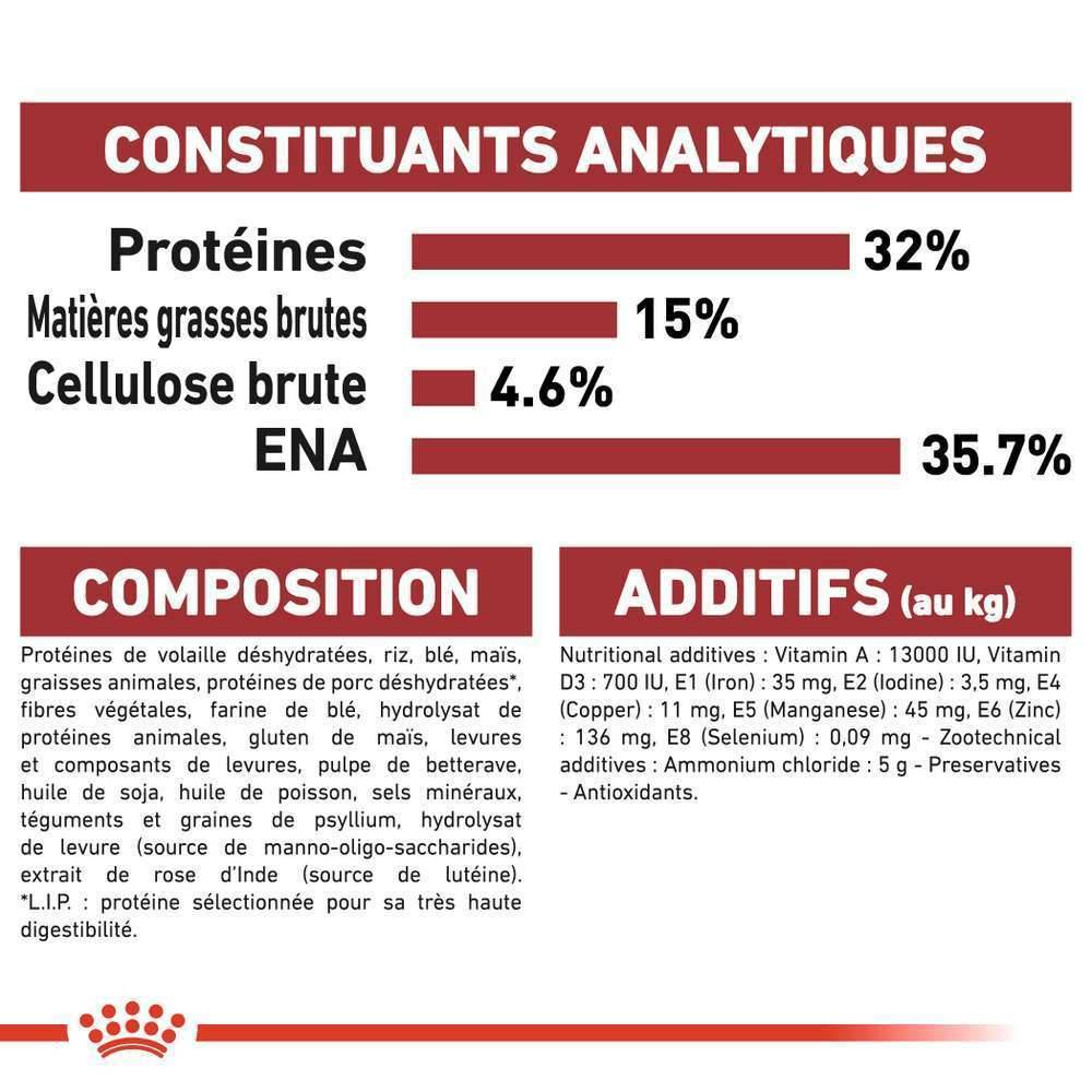 Royal Canin - Croquettes Chat Fit32 - ROYAL CANIN - Image 10