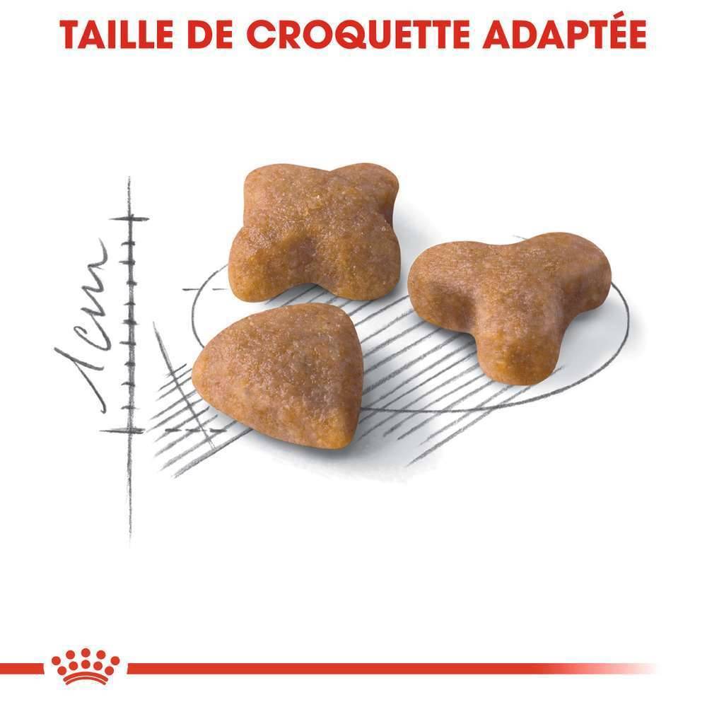 Royal Canin - Croquettes chat adulte sensibilité digestive - ROYAL CANIN - Imagen 3