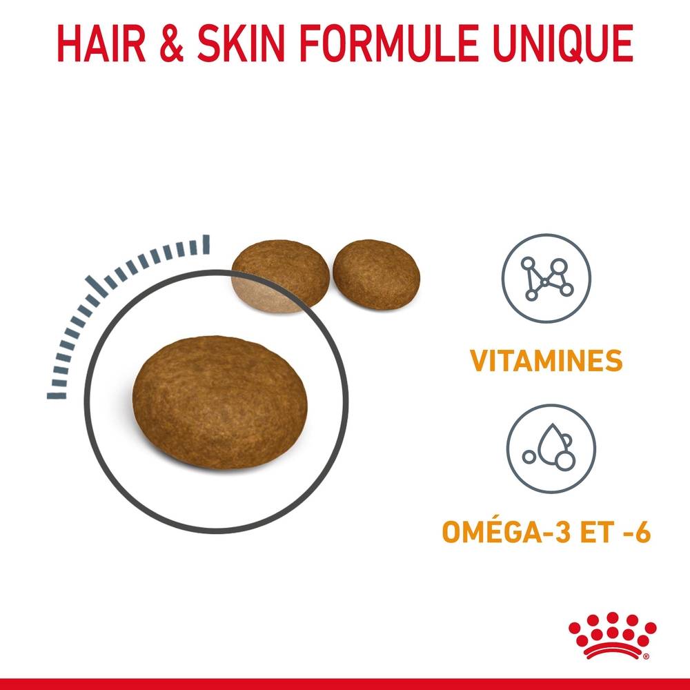 Royal Canin - Croquettes chat - ROYAL CANIN - Imagen 3