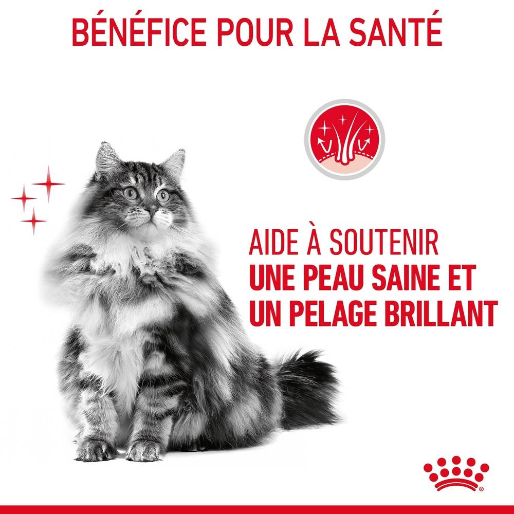 Royal Canin - Croquettes chat - ROYAL CANIN - Imagen 4