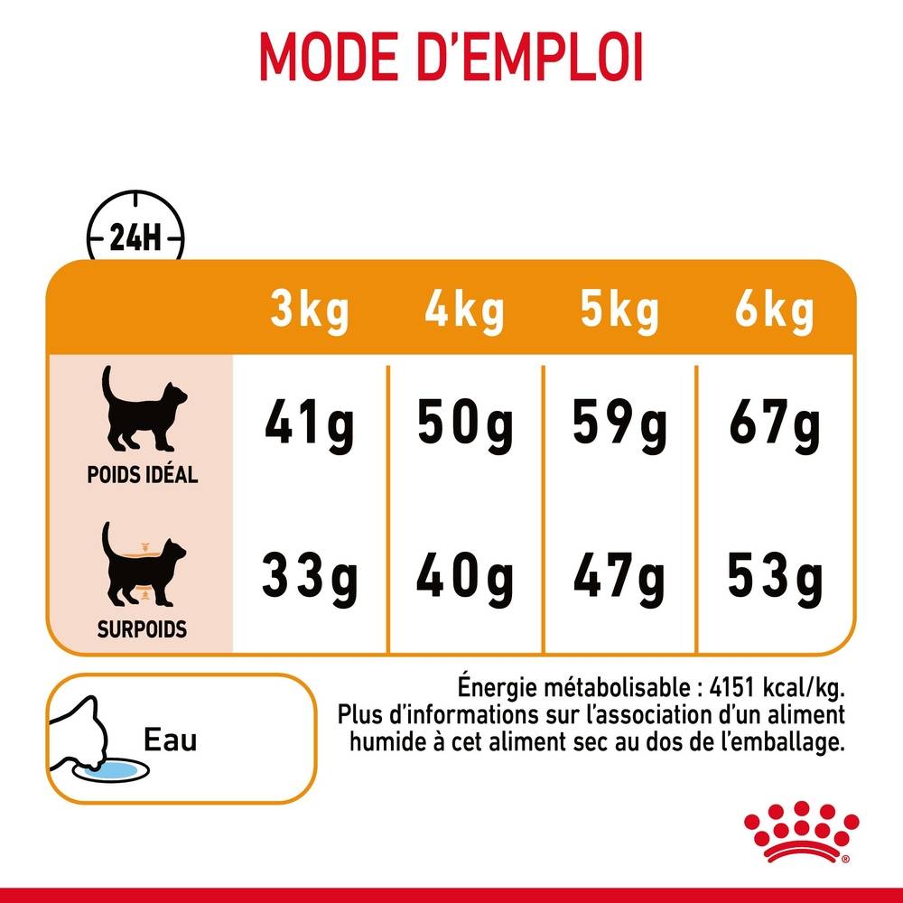Royal Canin - Croquettes chat - ROYAL CANIN - Imagen 5