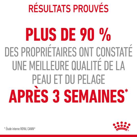 Royal Canin - Croquettes Chat Hair & Skin Care - ROYAL CANIN - Image 5
