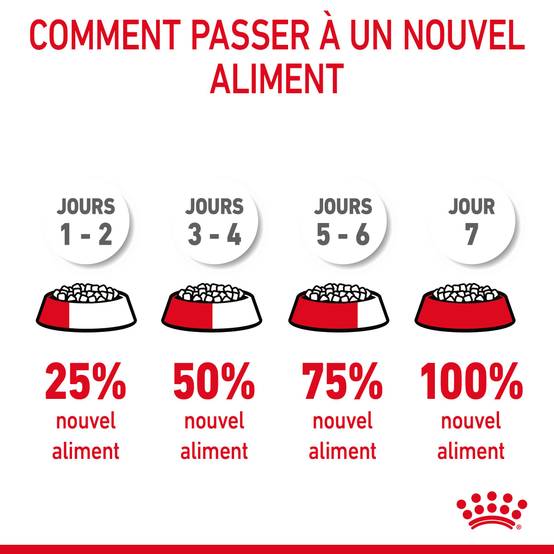 Royal Canin - Croquettes Chat Hair & Skin Care - ROYAL CANIN - Image 9