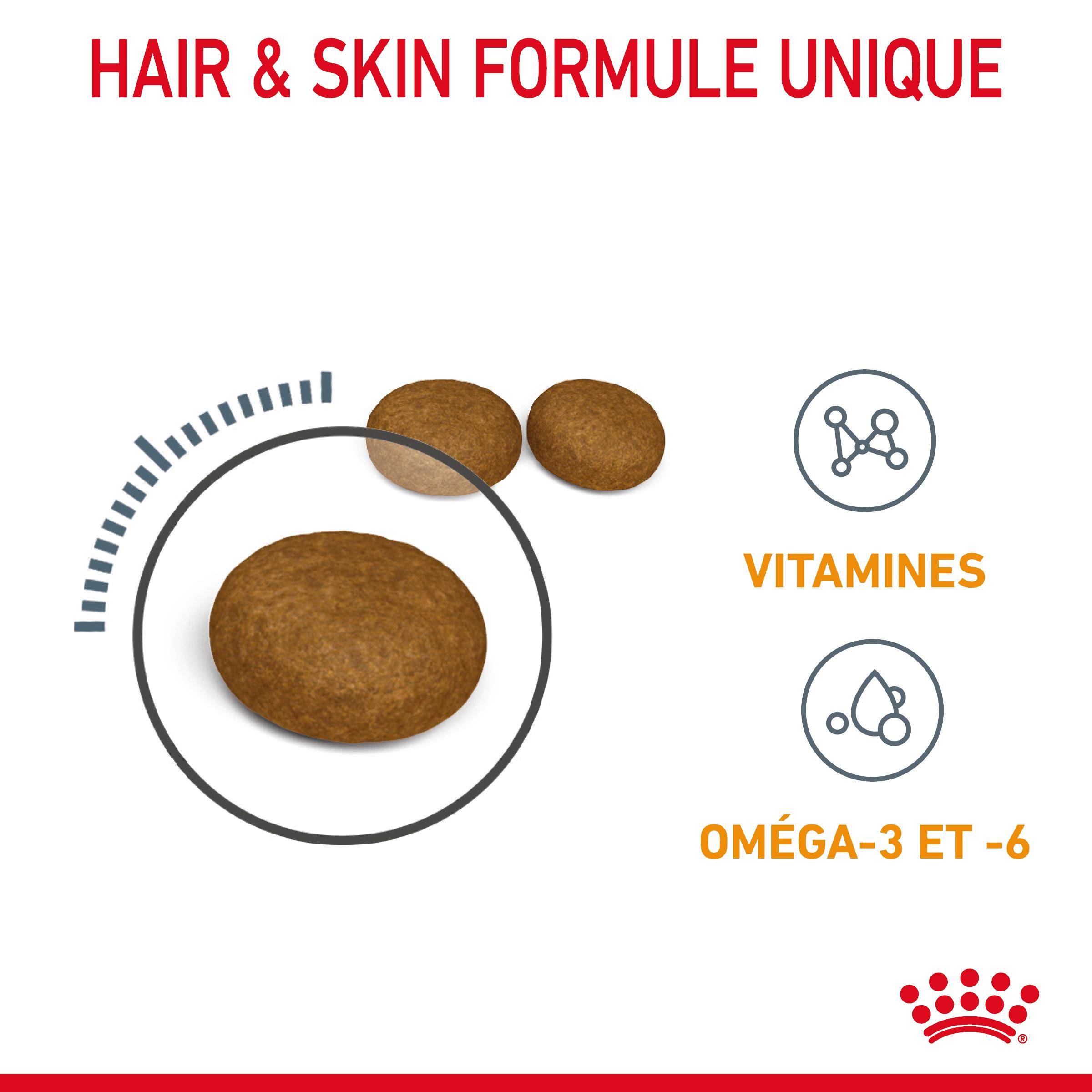 Royal Canin - Croquettes Chat Hair & Skin Care - ROYAL CANIN - Image 4