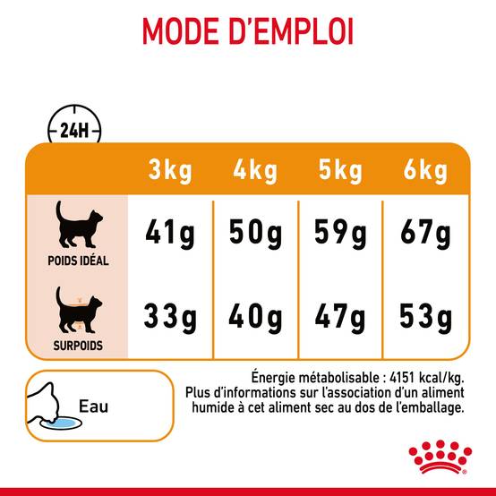 Royal Canin - Croquettes Chat Hair & Skin Care - ROYAL CANIN - Image 3