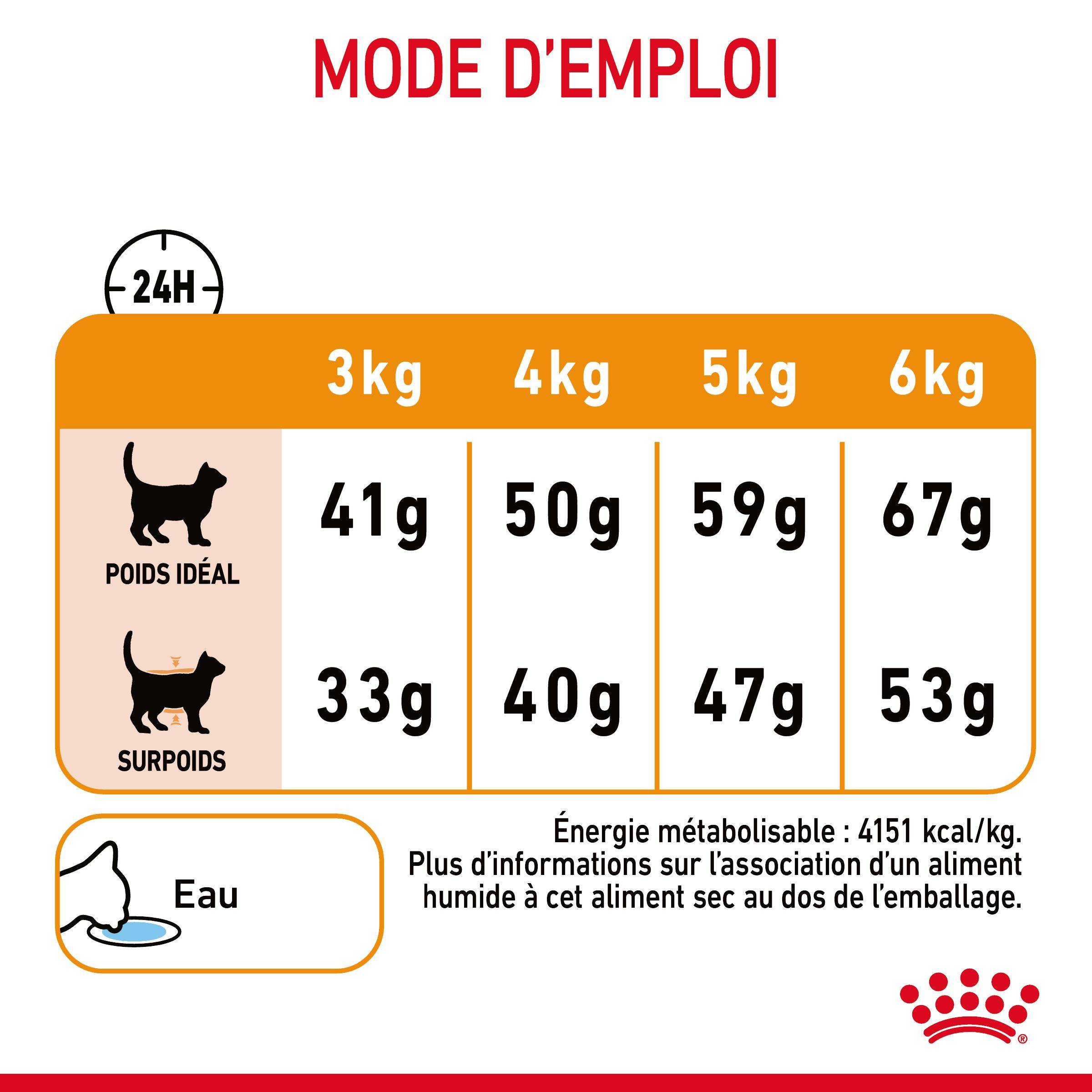 Royal Canin - Croquettes Chat Hair & Skin Care - ROYAL CANIN - Image 3
