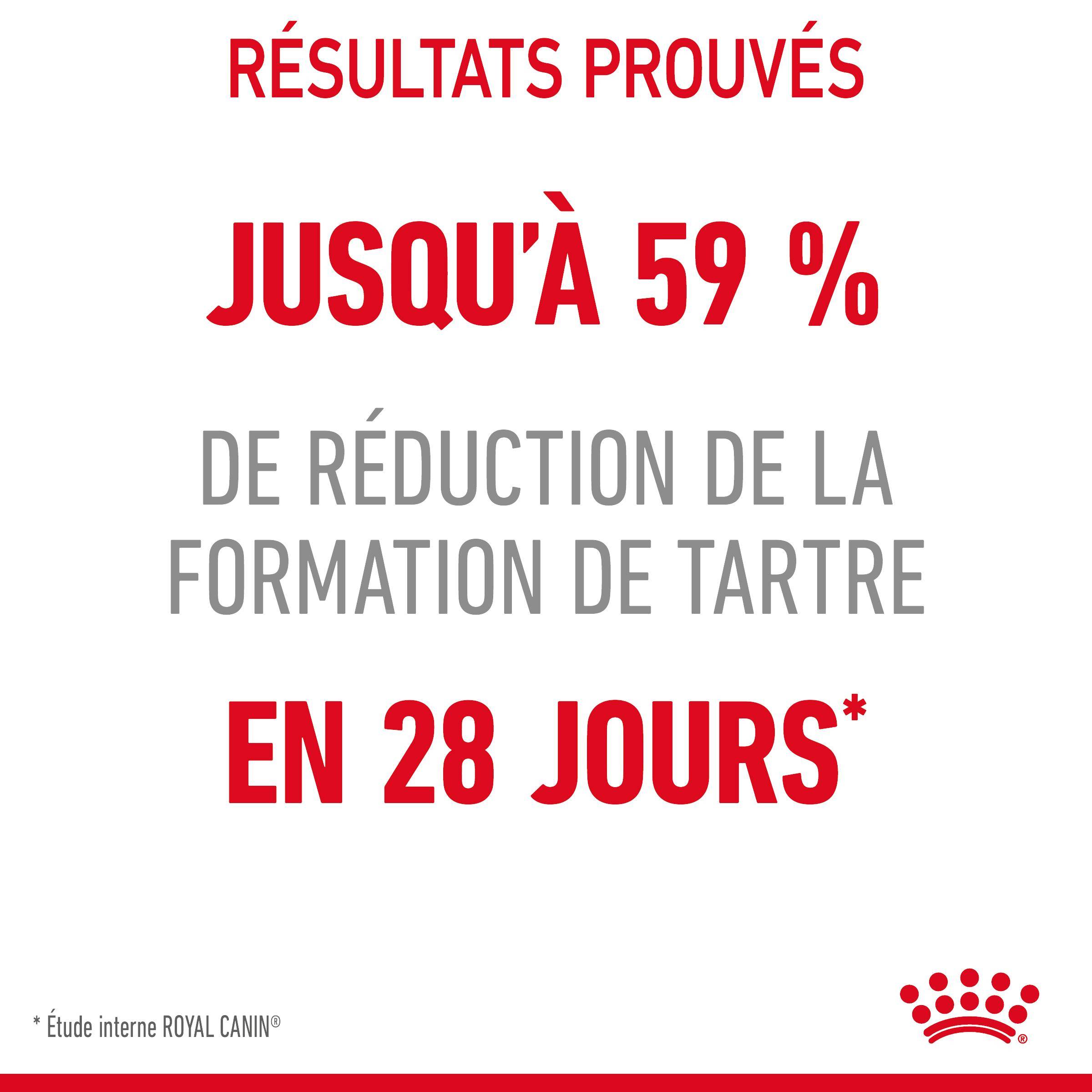 Royal Canin - Croquettes Chat Oral Care - ROYAL CANIN - Image 10