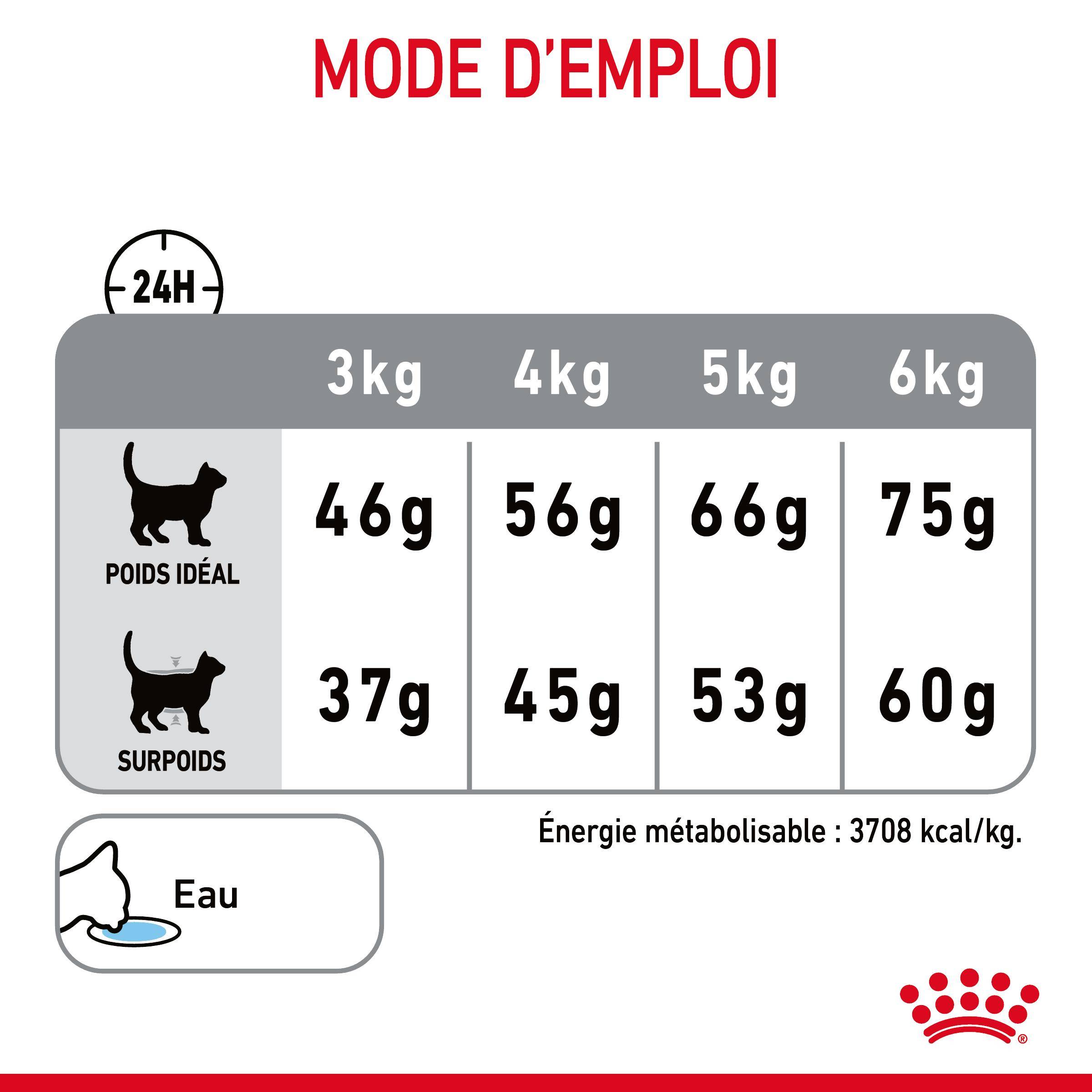 Royal Canin - Croquettes Chat Oral Care - ROYAL CANIN - Image 8