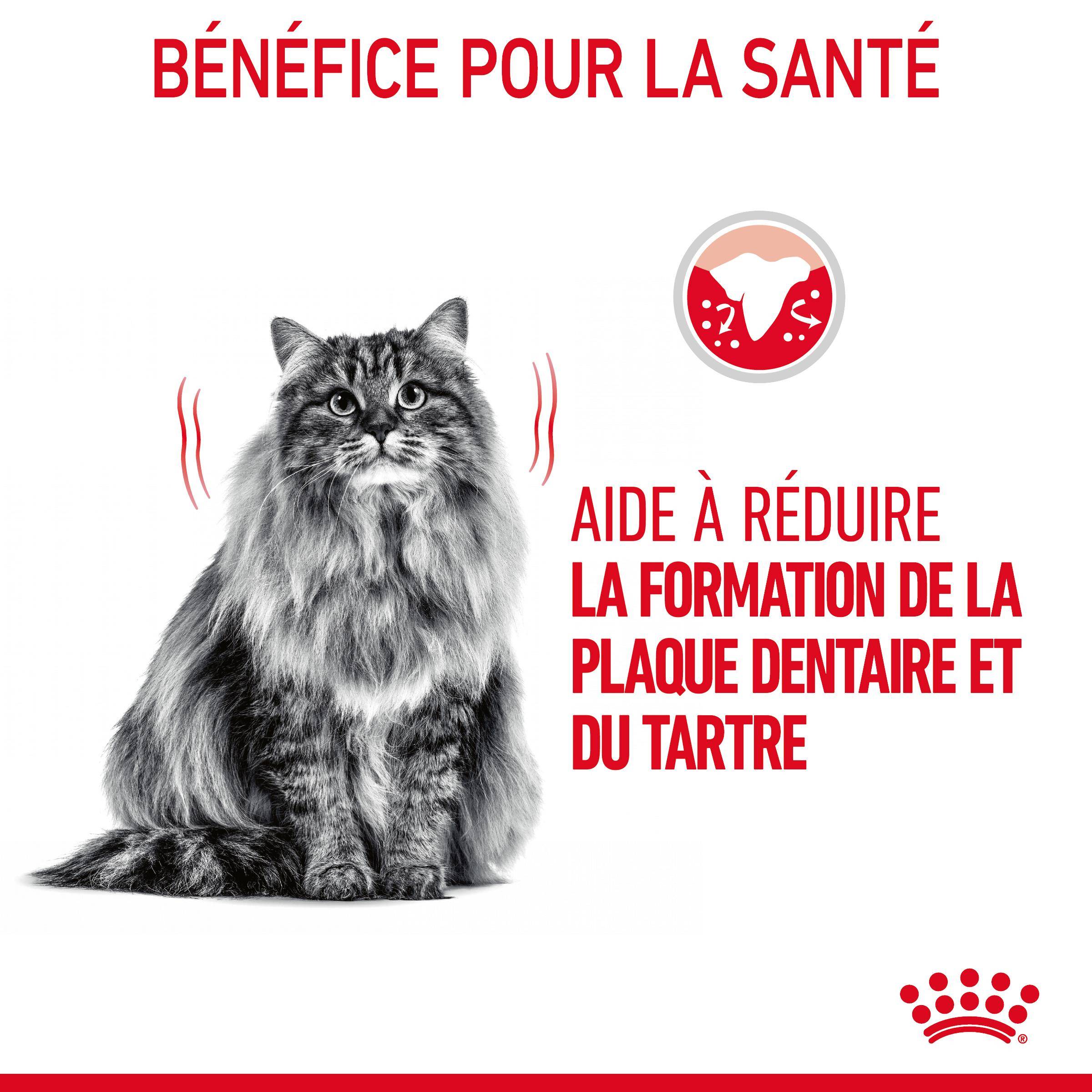 Royal Canin - Croquettes Chat Oral Care - ROYAL CANIN - Image 9