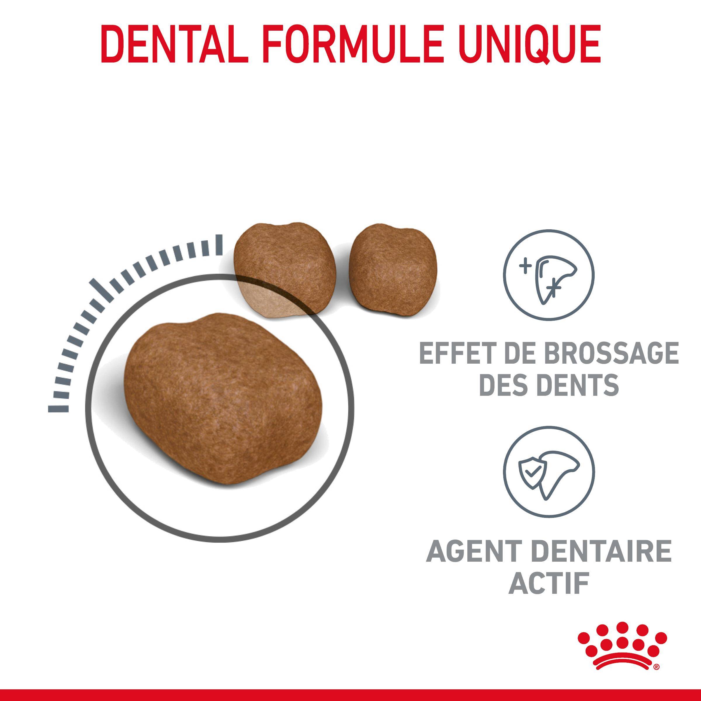 Royal Canin - Croquettes Chat Oral Care - ROYAL CANIN - Image 6