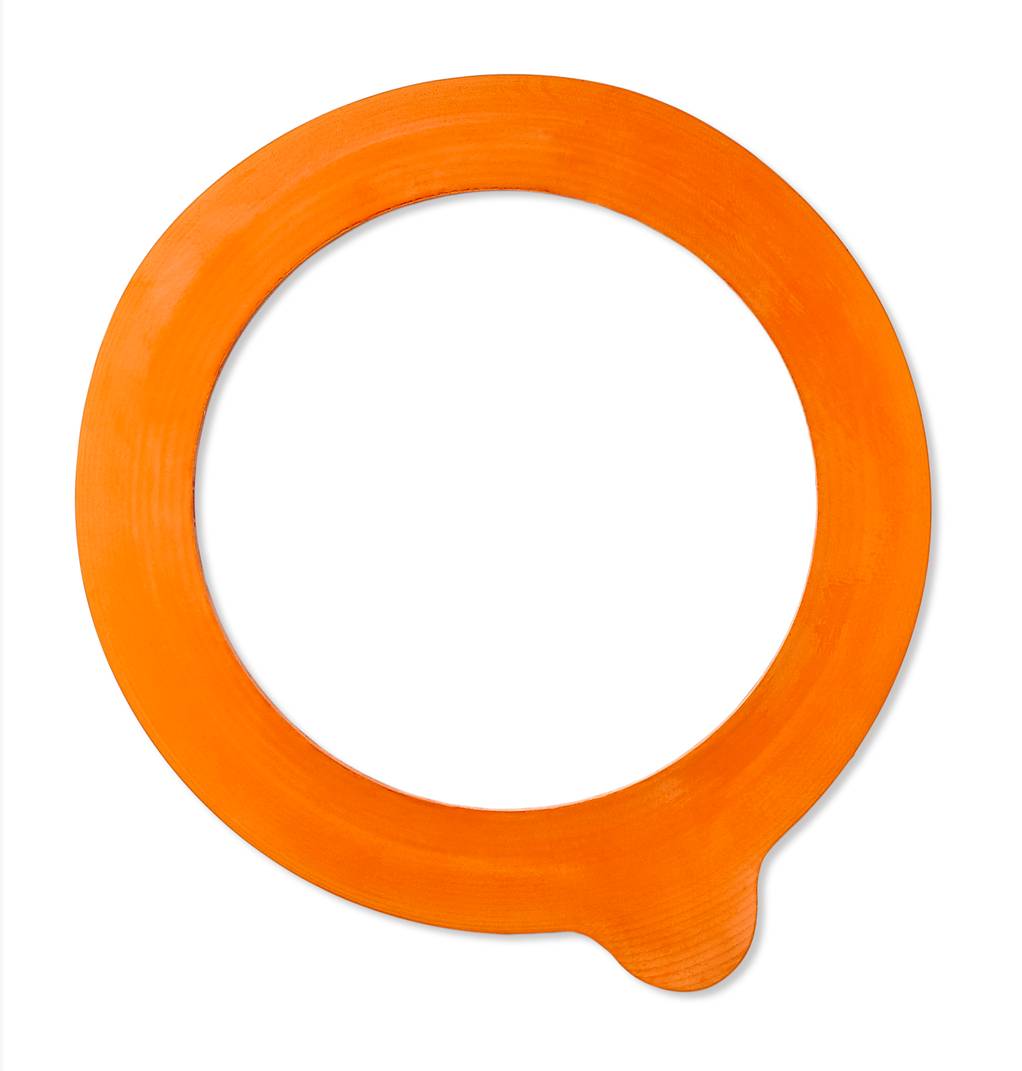 Le Parfait - Rondelles Universelles Ø 10 cm Sachet de 10 - Le Parfait® - Imagen 3