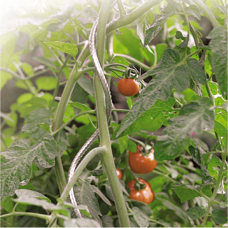 Nortène - Tuteur tomate spirale ø0,7 x H180 cm