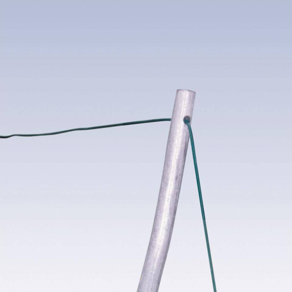 Nortène - Tuteur tomate spirale ø0,7 x H180 cm - Image 3