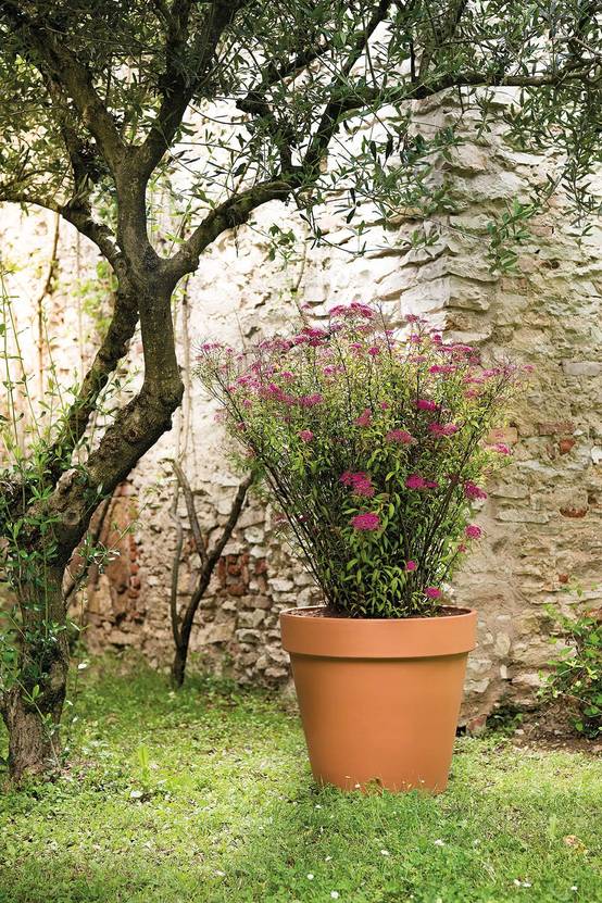 Deroma - Vase brut cotto 37 cm - L.36,8 x l.36,8 x H.32,5 cm - Image 2