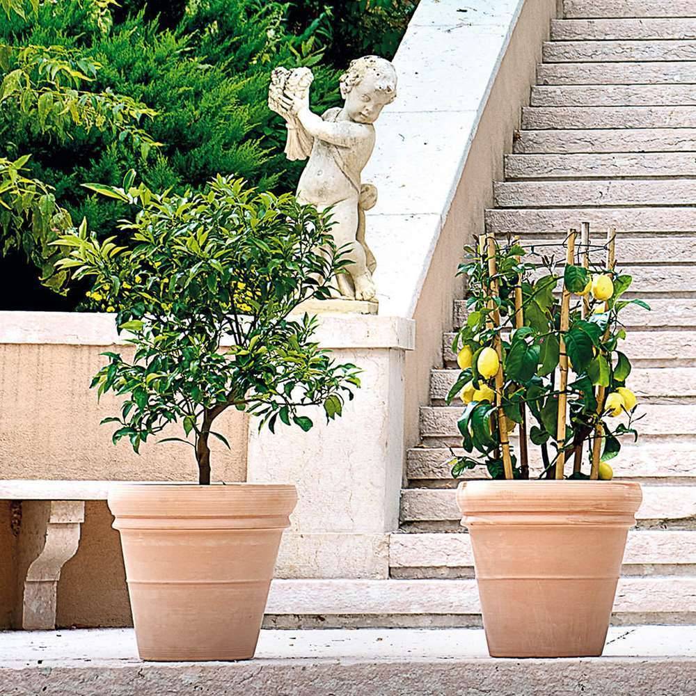 Deroma - Pot Vaso Doppio Bordo White Terre cuite – DEROMA - Image 5