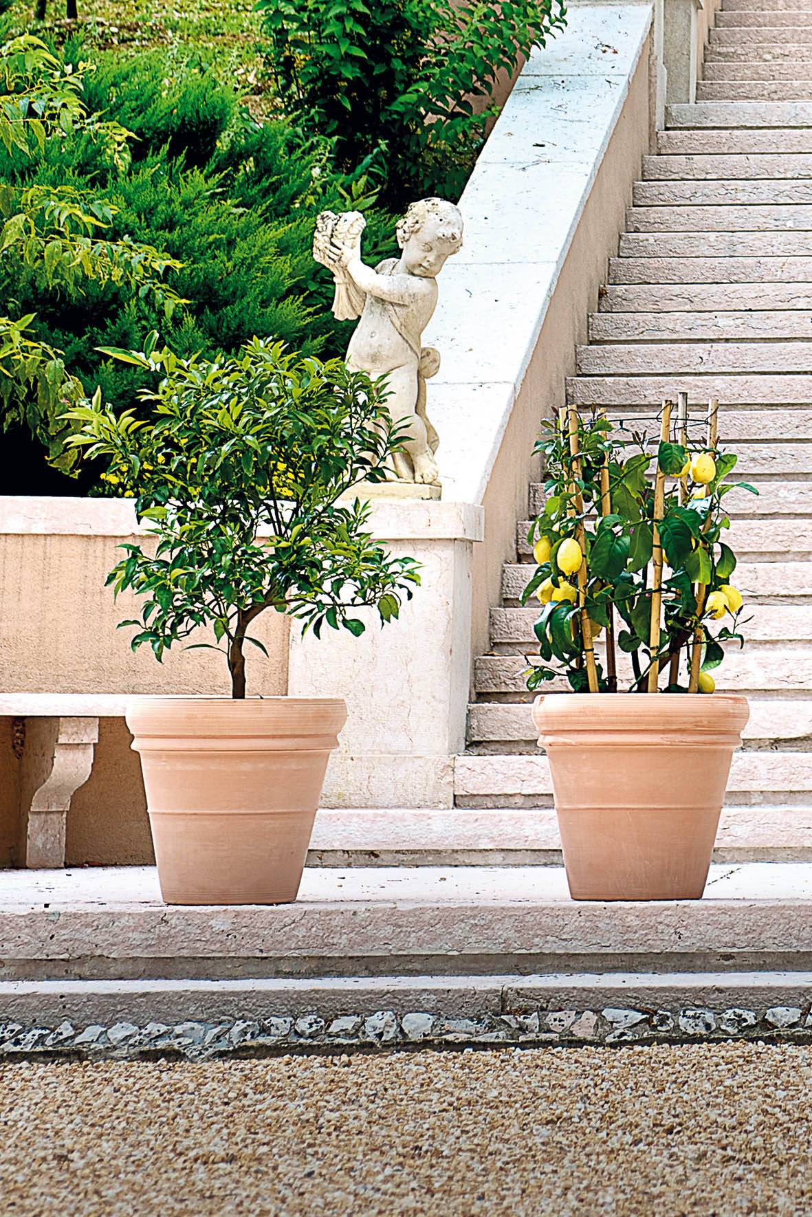 Deroma - Pot Vaso Doppio Bordo White Terre cuite – DEROMA - Image 2
