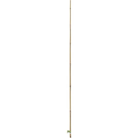 Nortène - BAMBOO Tuteur bambou naturel lot 4 gencodé naturel Ø 8/10mmx0,90m